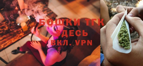 прущие грибы Горнозаводск