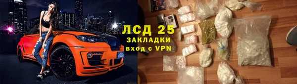 прущие грибы Горнозаводск