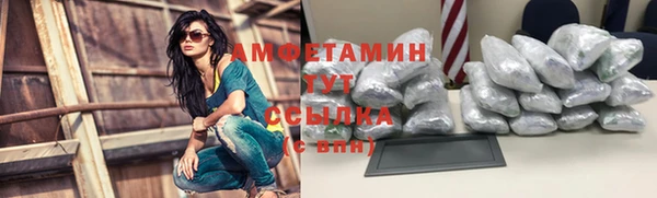 ГАЛЛЮЦИНОГЕННЫЕ ГРИБЫ Горно-Алтайск