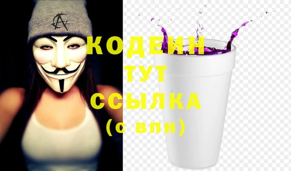 прущие грибы Горнозаводск