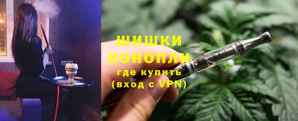 прущие грибы Горнозаводск