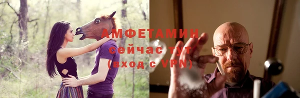 прущие крисы Горняк