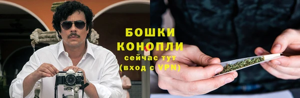 прущие грибы Горнозаводск