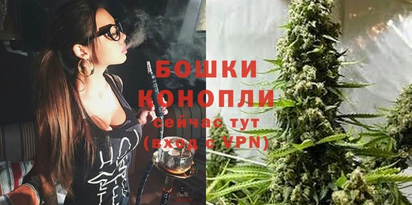 прущие крисы Горняк