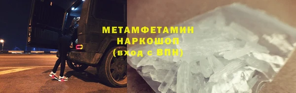 прущие грибы Горнозаводск