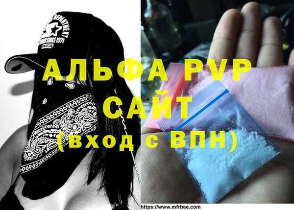 прущие грибы Горнозаводск