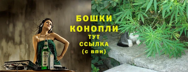 прущие грибы Горнозаводск