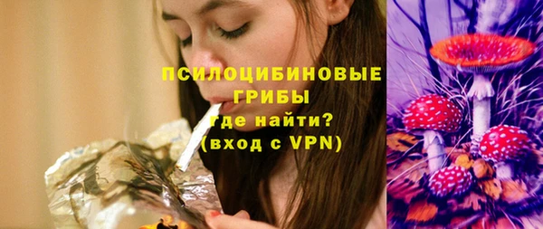 ГАЛЛЮЦИНОГЕННЫЕ ГРИБЫ Горно-Алтайск