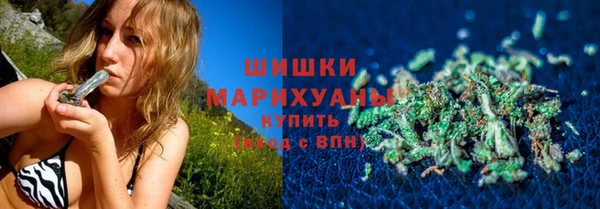 прущие грибы Горнозаводск