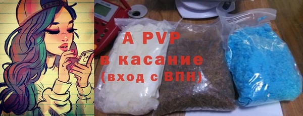 прущие грибы Горнозаводск
