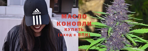 прущие крисы Горняк