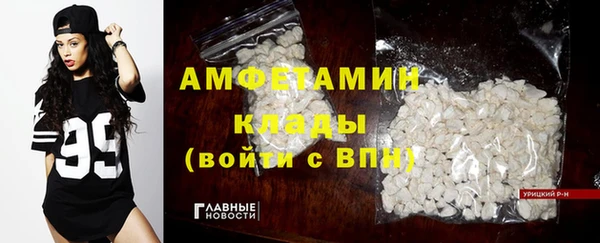 ГАЛЛЮЦИНОГЕННЫЕ ГРИБЫ Горно-Алтайск