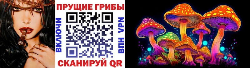 Псилоцибиновые грибы MAGIC MUSHROOMS  продажа наркотиков  Москва 