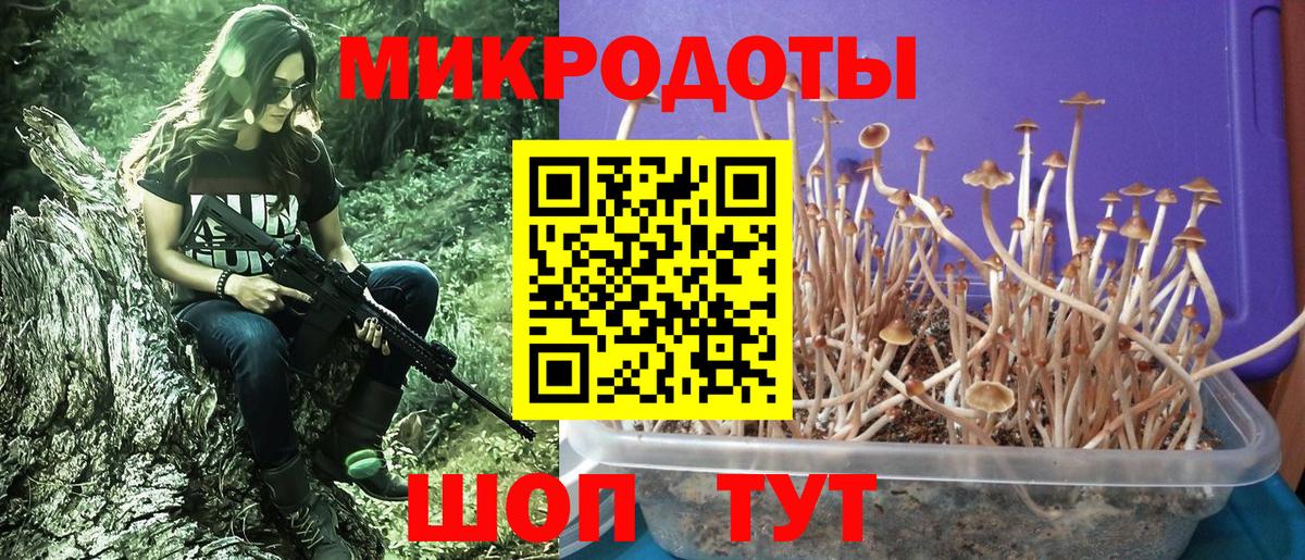 Псилоцибиновые грибы ЛСД  Галлюциногенные грибы MAGIC MUSHROOMS  Вход с VPN  Москва 