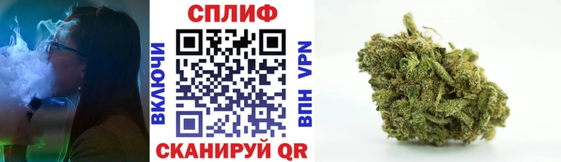 где продают   Москва  Бошки марихуана конопля 