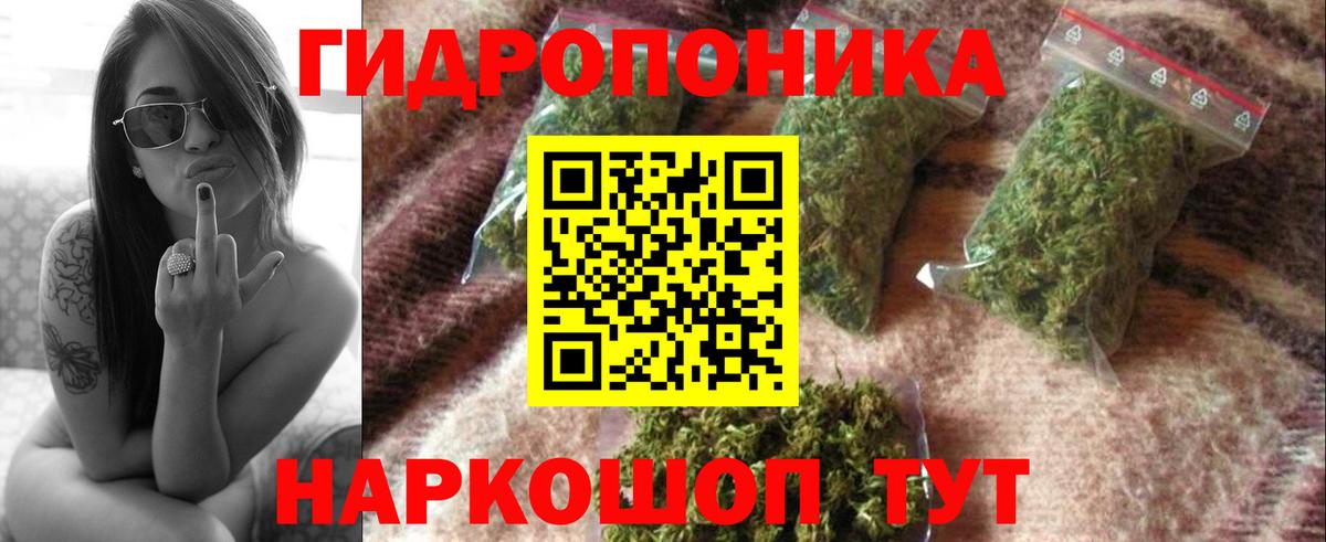 Шишки марихуана AK-47  Конопля SATIVA & INDICA  Москва  Вход с VPN  Бошки Шишки White Widow 